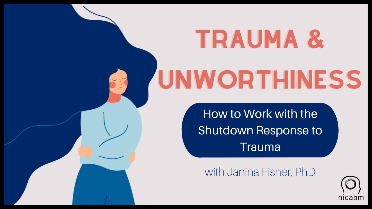 is-your-patient-feeling-unworthy-janina-fisher-phd-nicabm