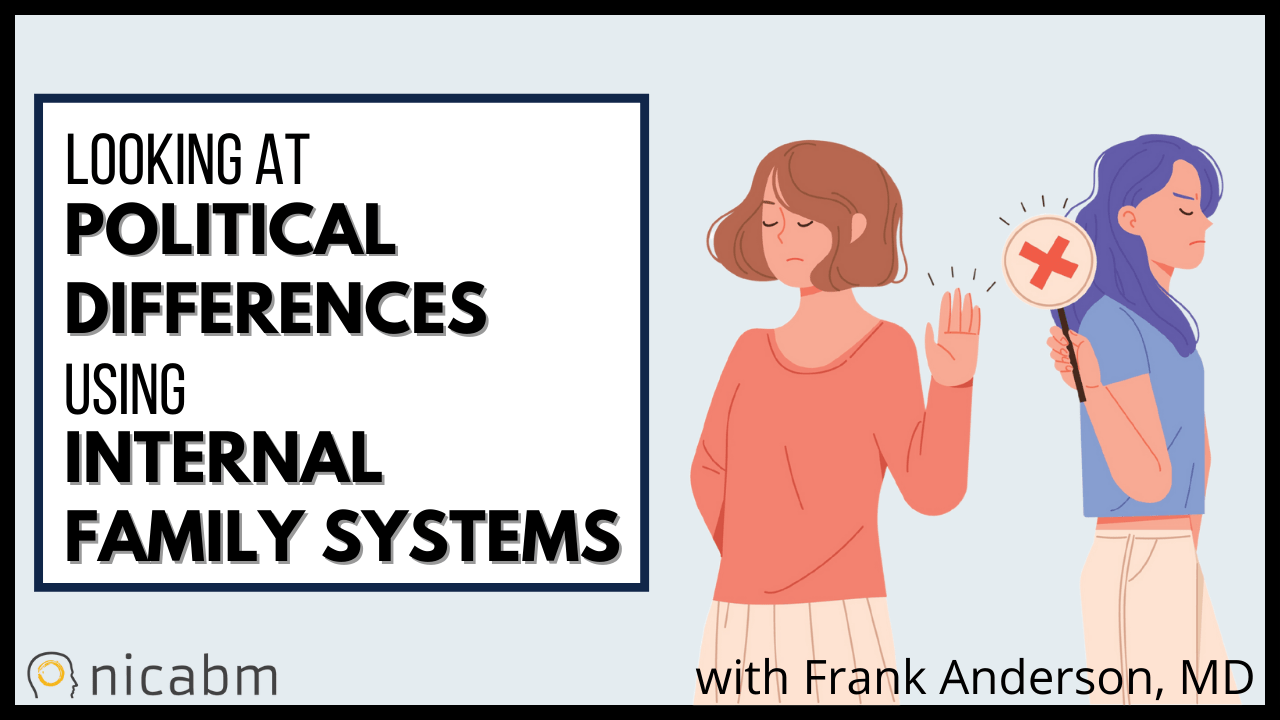 Looking at Political Differences Through an IFS Lens NICABM