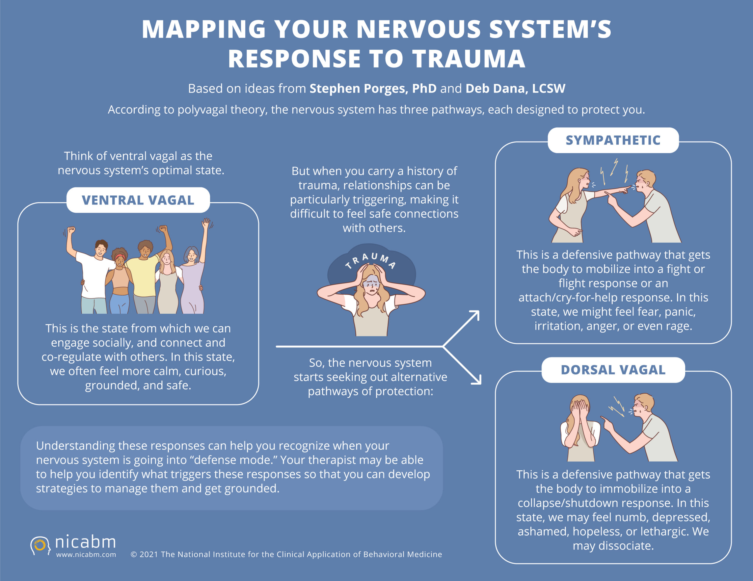 Mapping The Nervous System s Response To Trauma NICABM