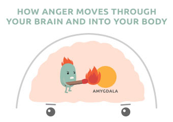Anger Brain Scan